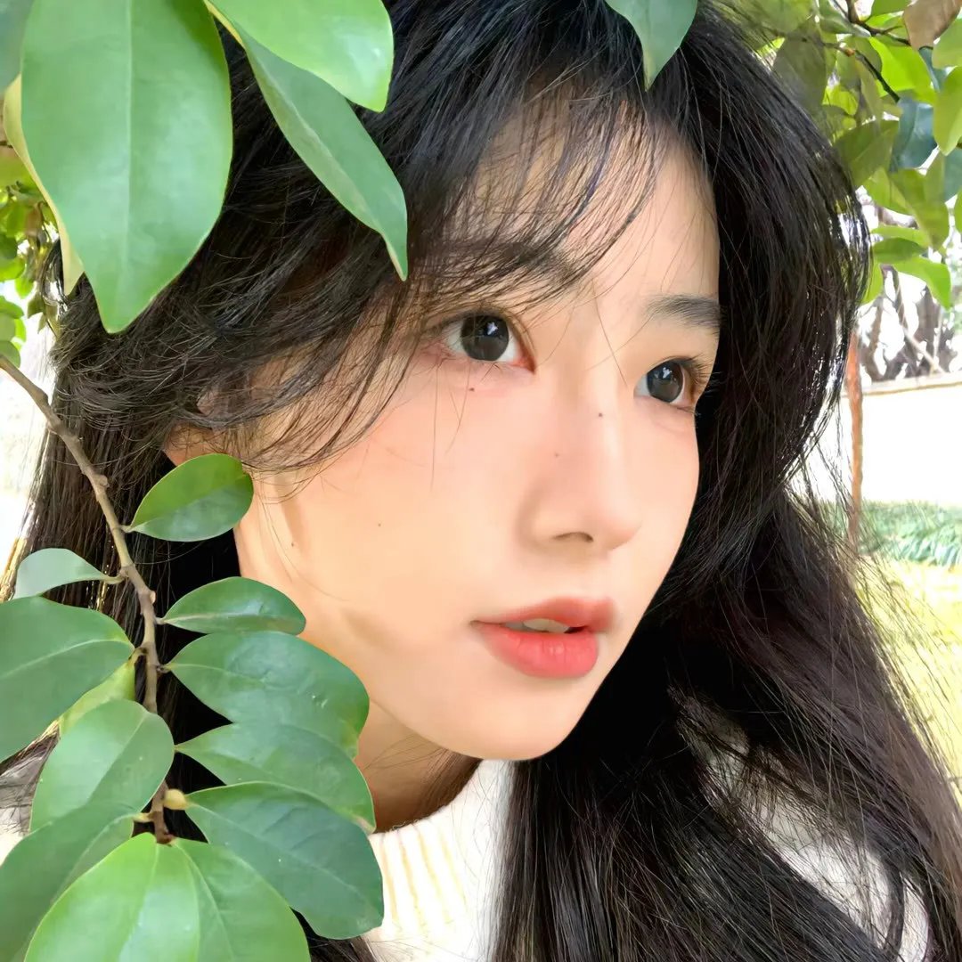 进击的沐小姐